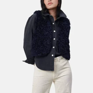 BAILY poodle MIDNIGHT